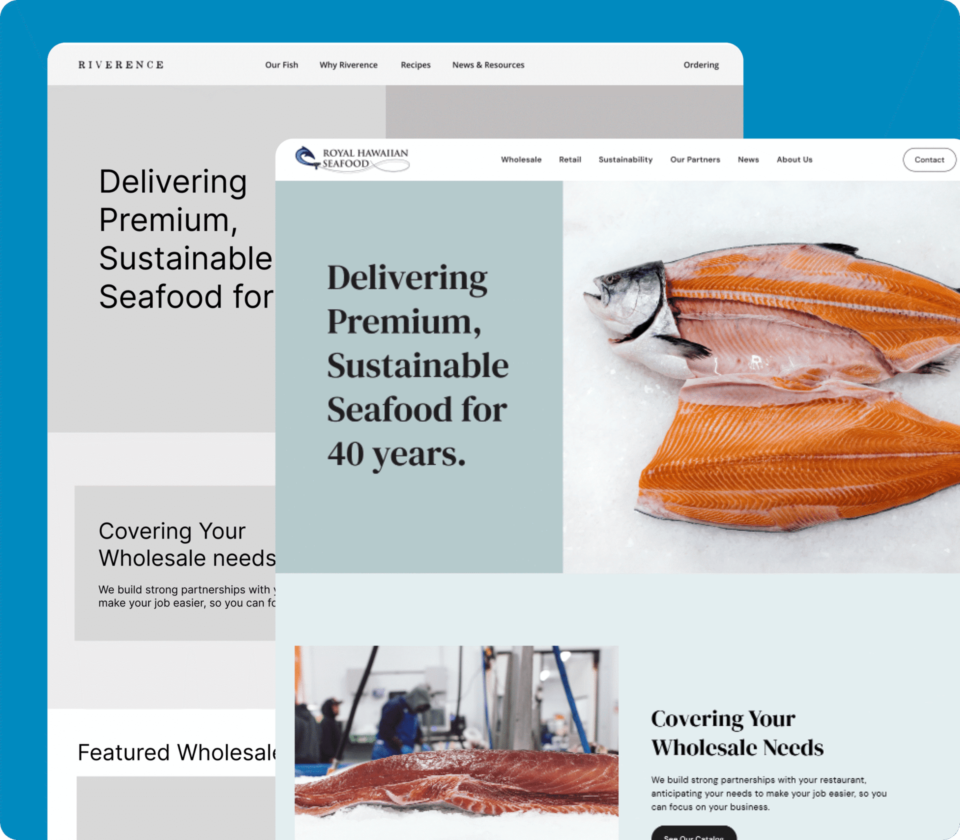 services web design