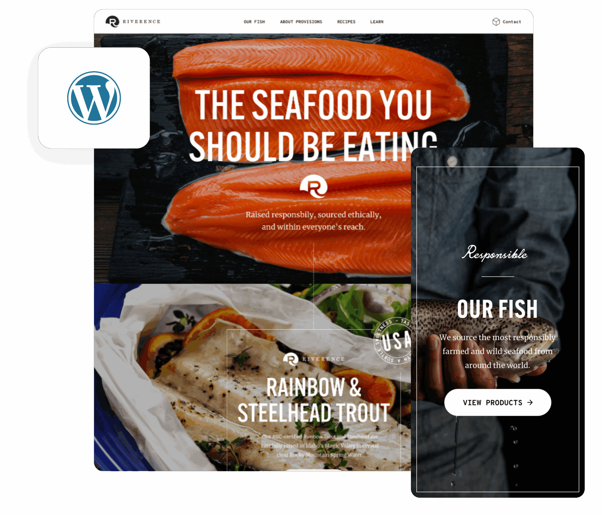 platform cms wordpress hero