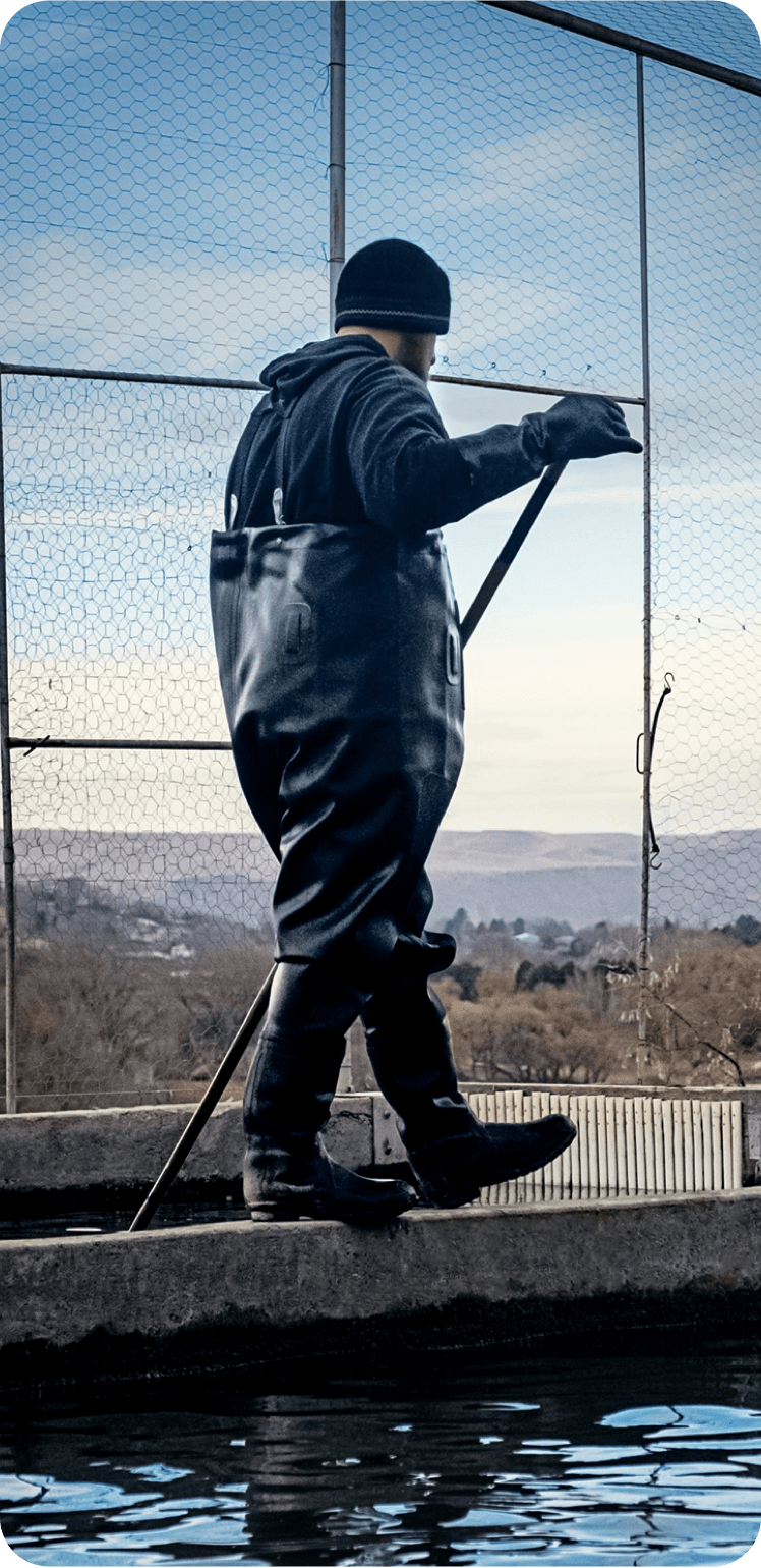 work riv mobile 10